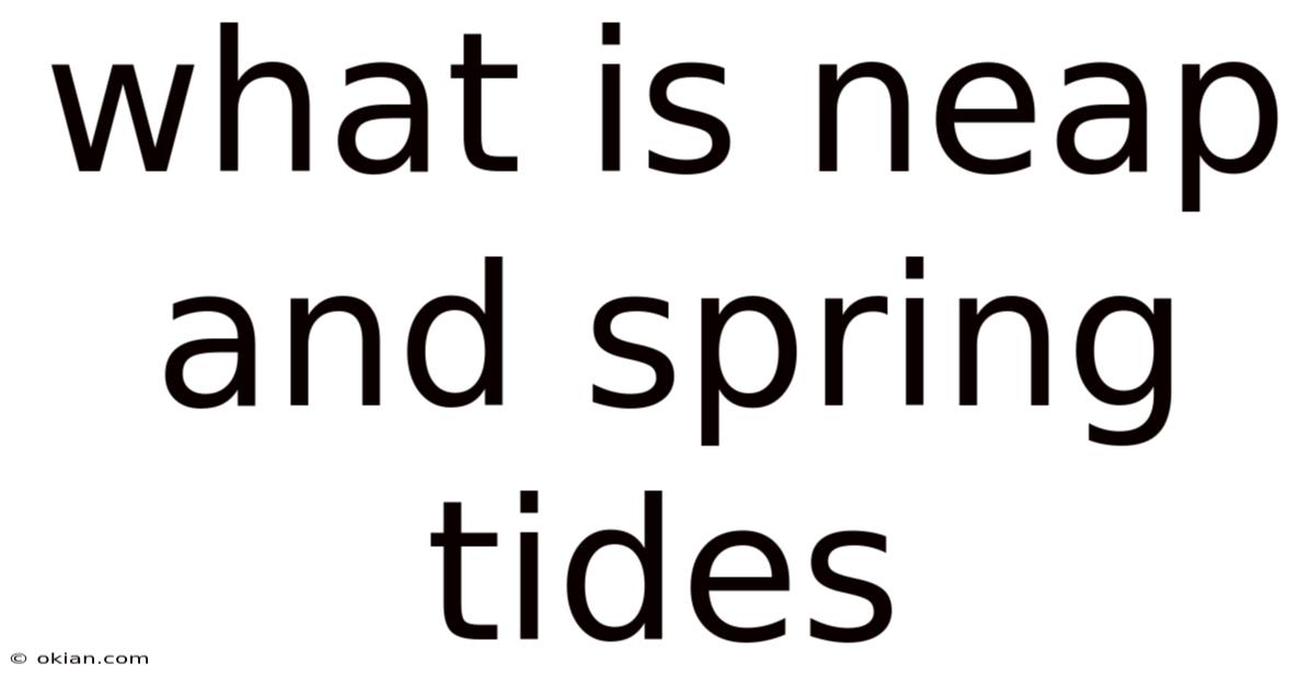What Is Neap And Spring Tides