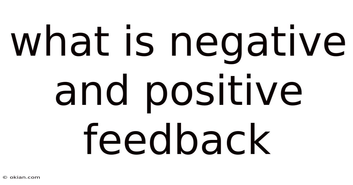 What Is Negative And Positive Feedback