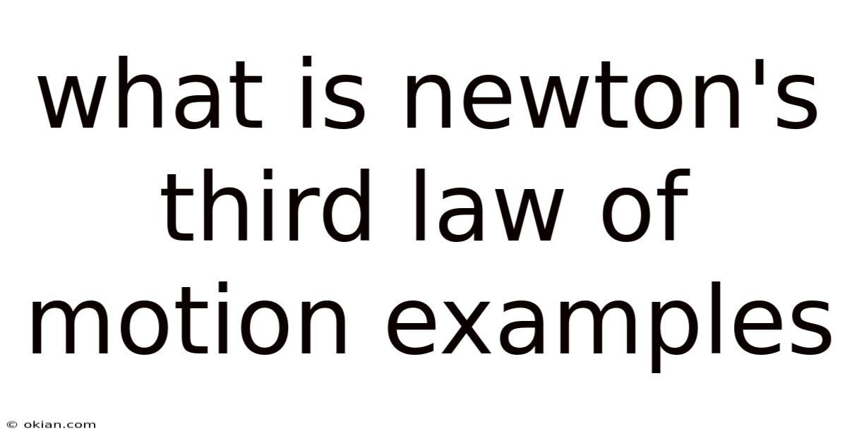 What Is Newton's Third Law Of Motion Examples