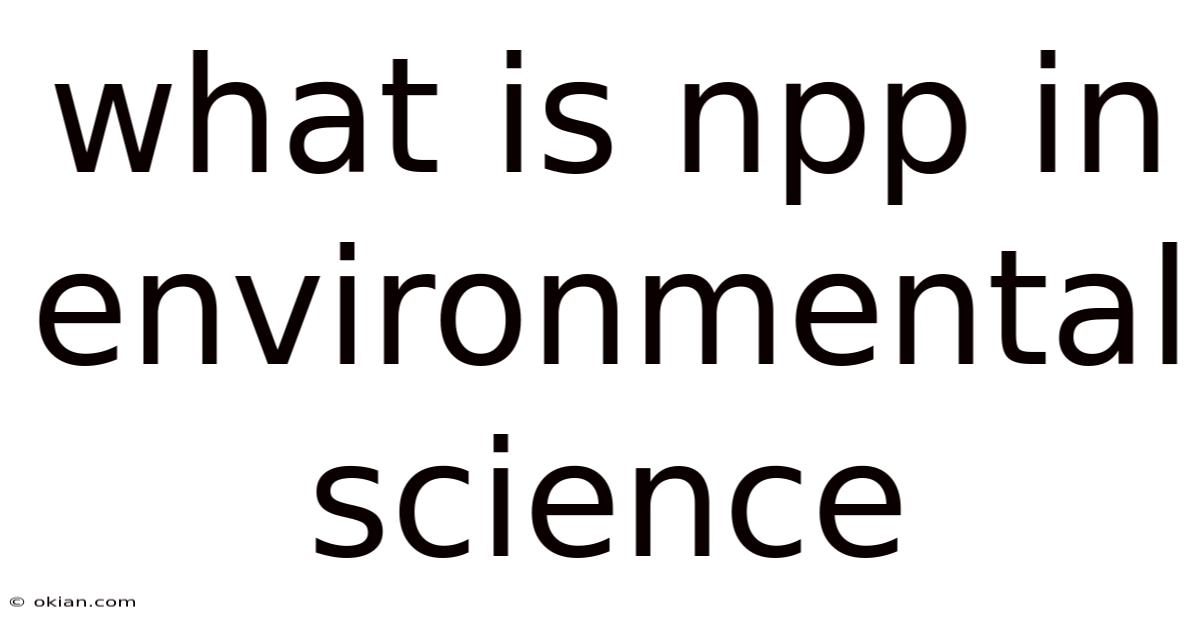 What Is Npp In Environmental Science