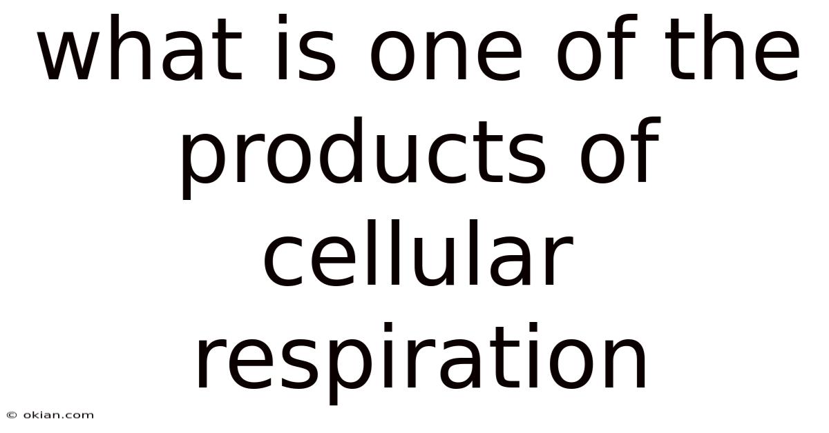 What Is One Of The Products Of Cellular Respiration