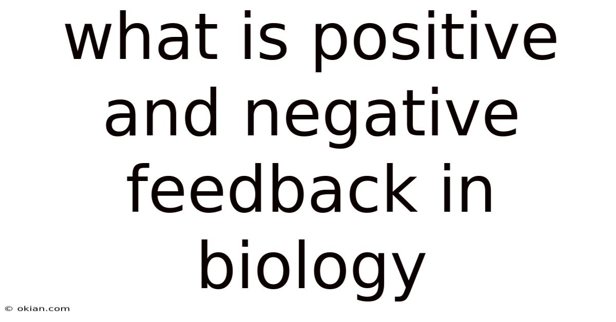 What Is Positive And Negative Feedback In Biology