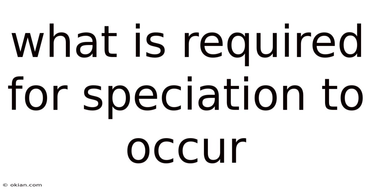 What Is Required For Speciation To Occur