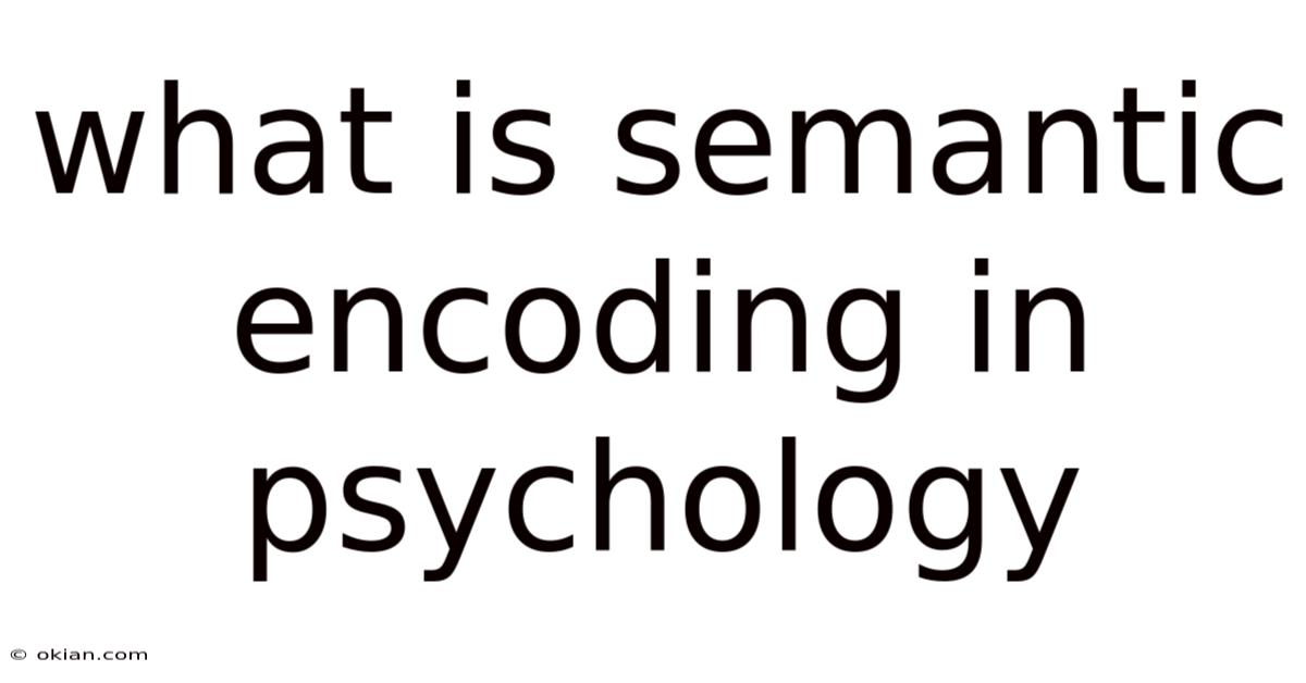 What Is Semantic Encoding In Psychology