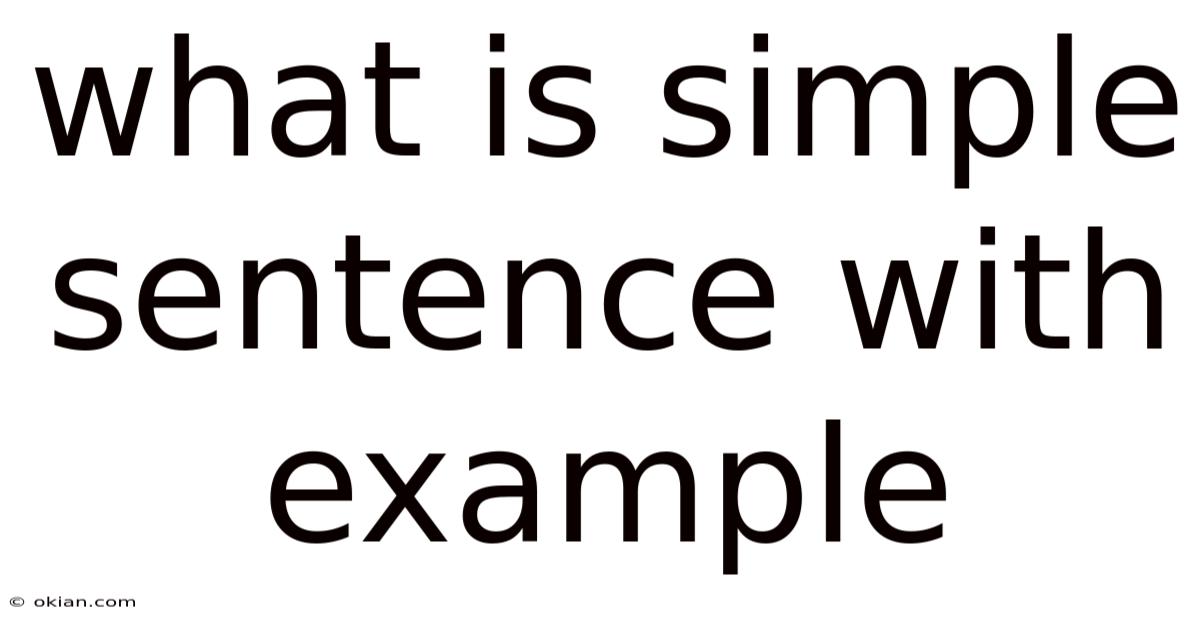 What Is Simple Sentence With Example