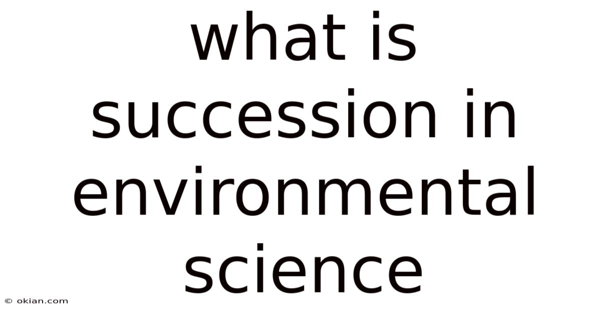 What Is Succession In Environmental Science
