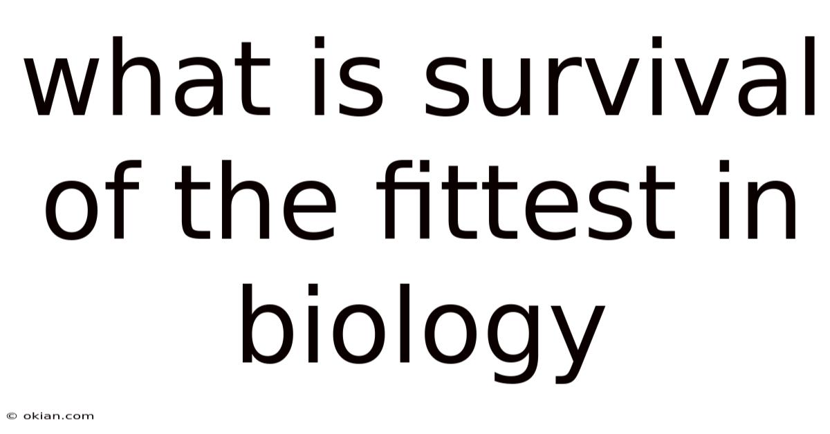 What Is Survival Of The Fittest In Biology