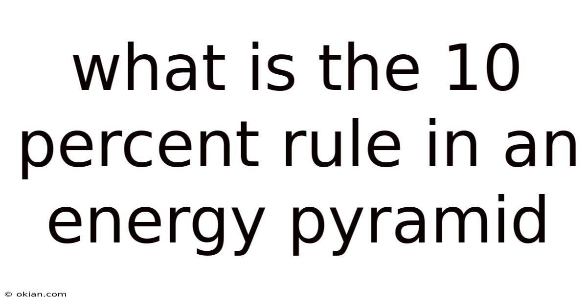 What Is The 10 Percent Rule In An Energy Pyramid