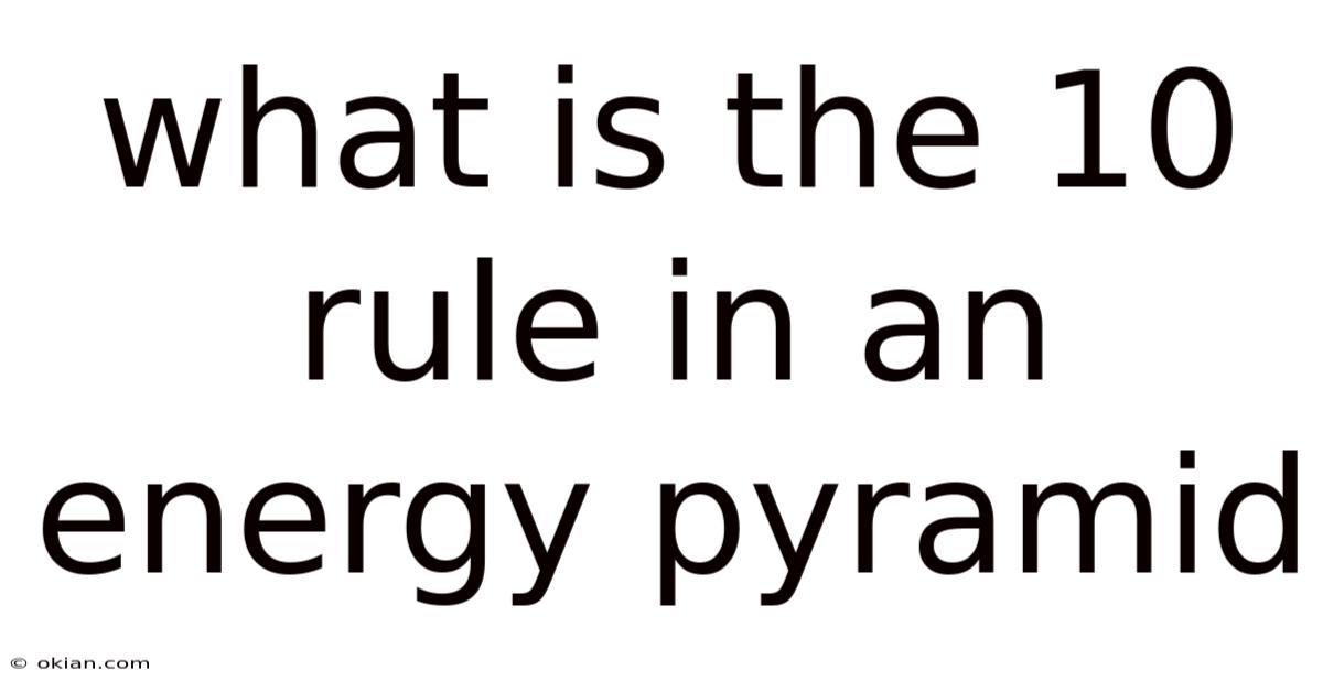 What Is The 10 Rule In An Energy Pyramid