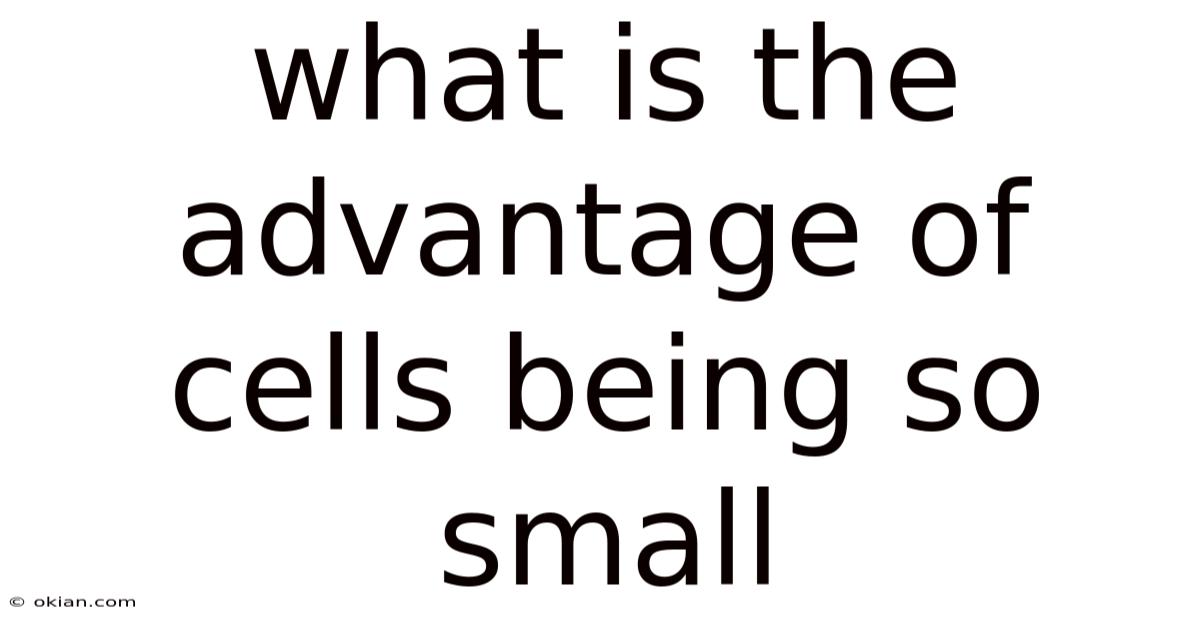 What Is The Advantage Of Cells Being So Small