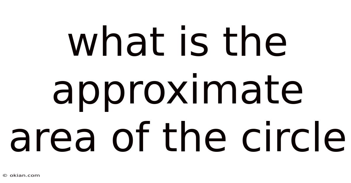 What Is The Approximate Area Of The Circle