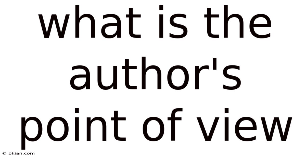 What Is The Author's Point Of View