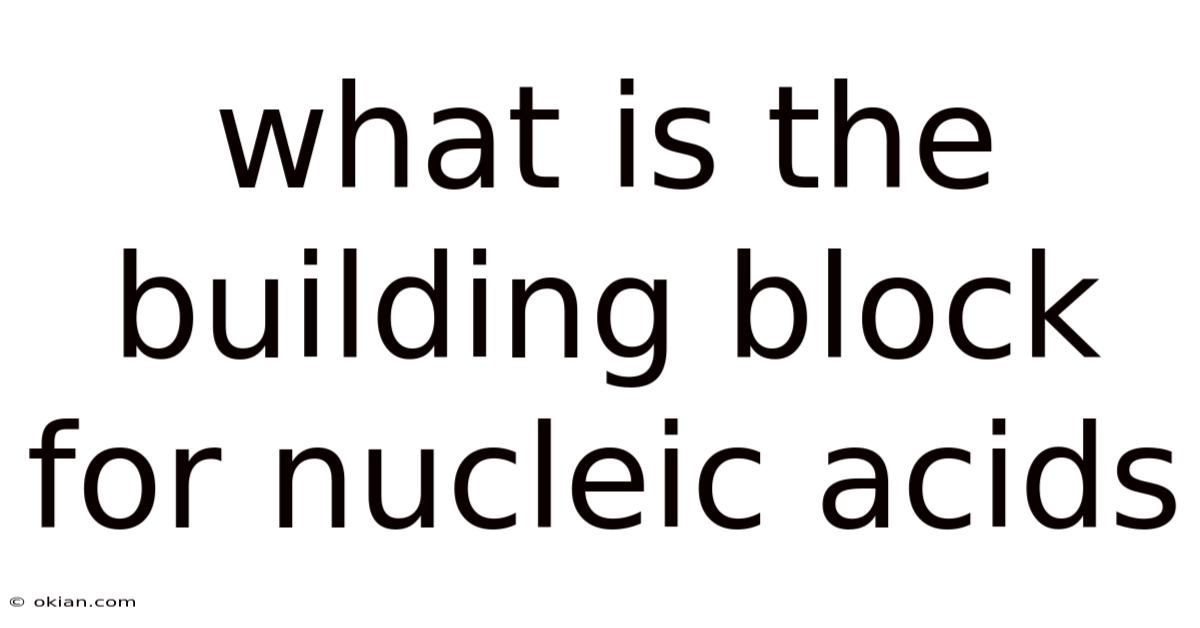 What Is The Building Block For Nucleic Acids