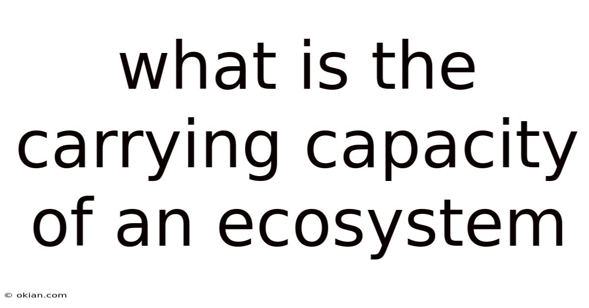 What Is The Carrying Capacity Of An Ecosystem