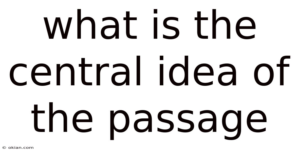What Is The Central Idea Of The Passage
