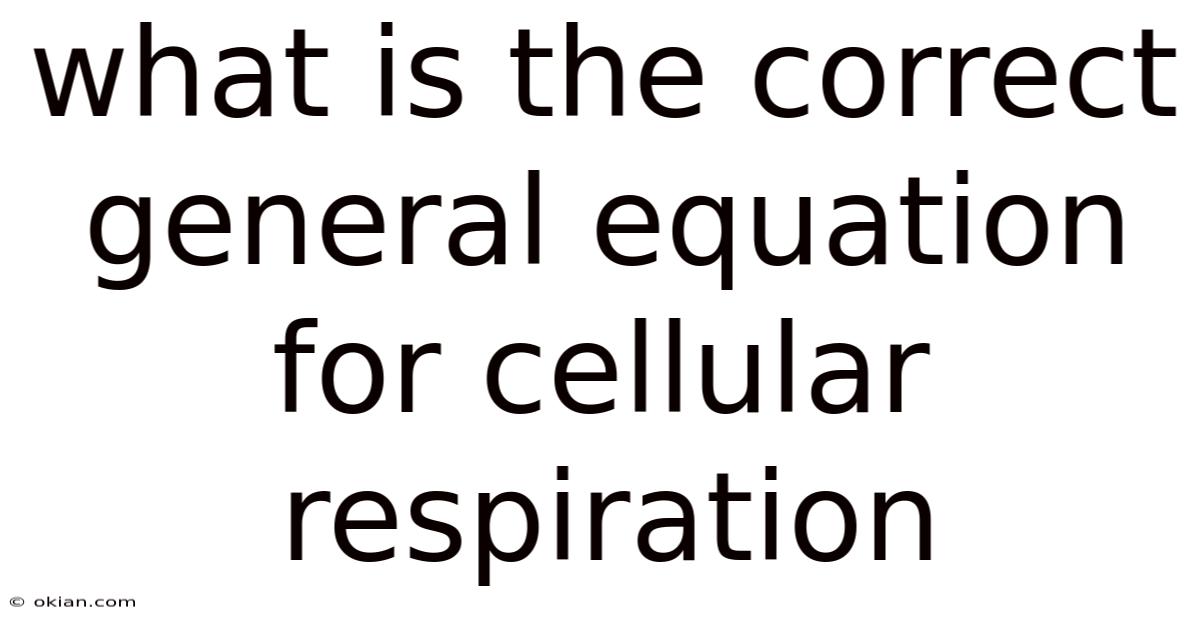 What Is The Correct General Equation For Cellular Respiration