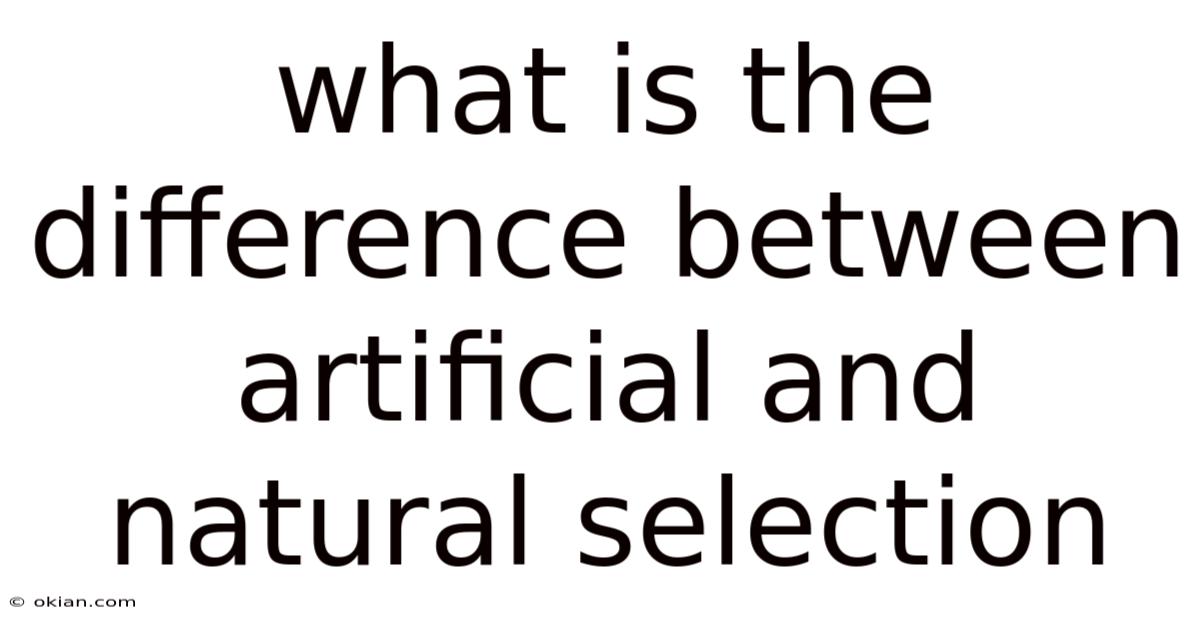 What Is The Difference Between Artificial And Natural Selection