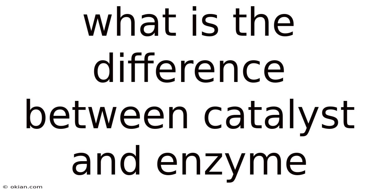 What Is The Difference Between Catalyst And Enzyme