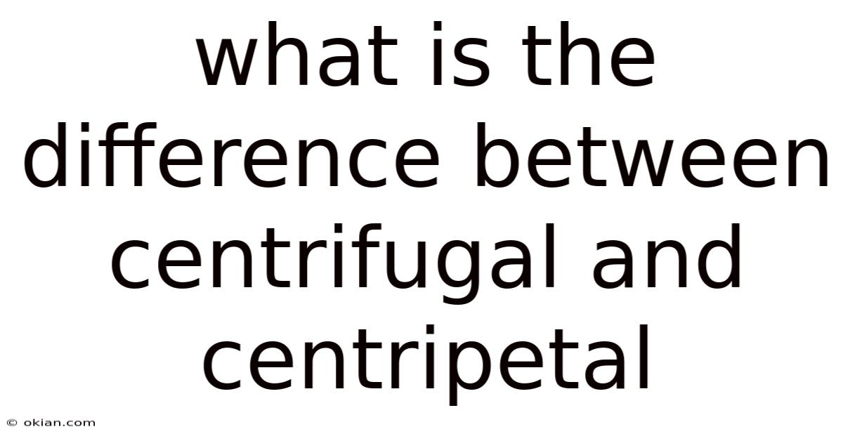 What Is The Difference Between Centrifugal And Centripetal