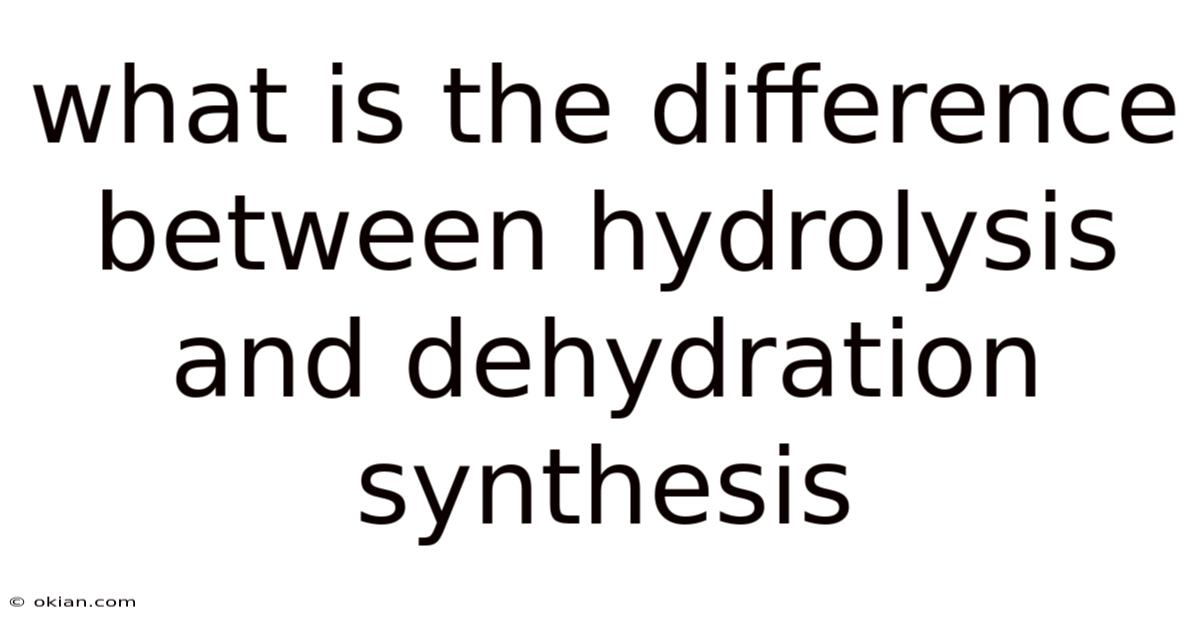 What Is The Difference Between Hydrolysis And Dehydration Synthesis