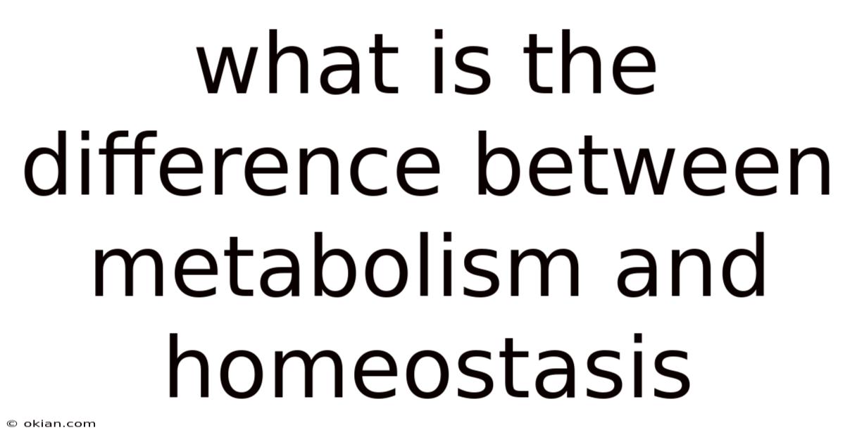 What Is The Difference Between Metabolism And Homeostasis