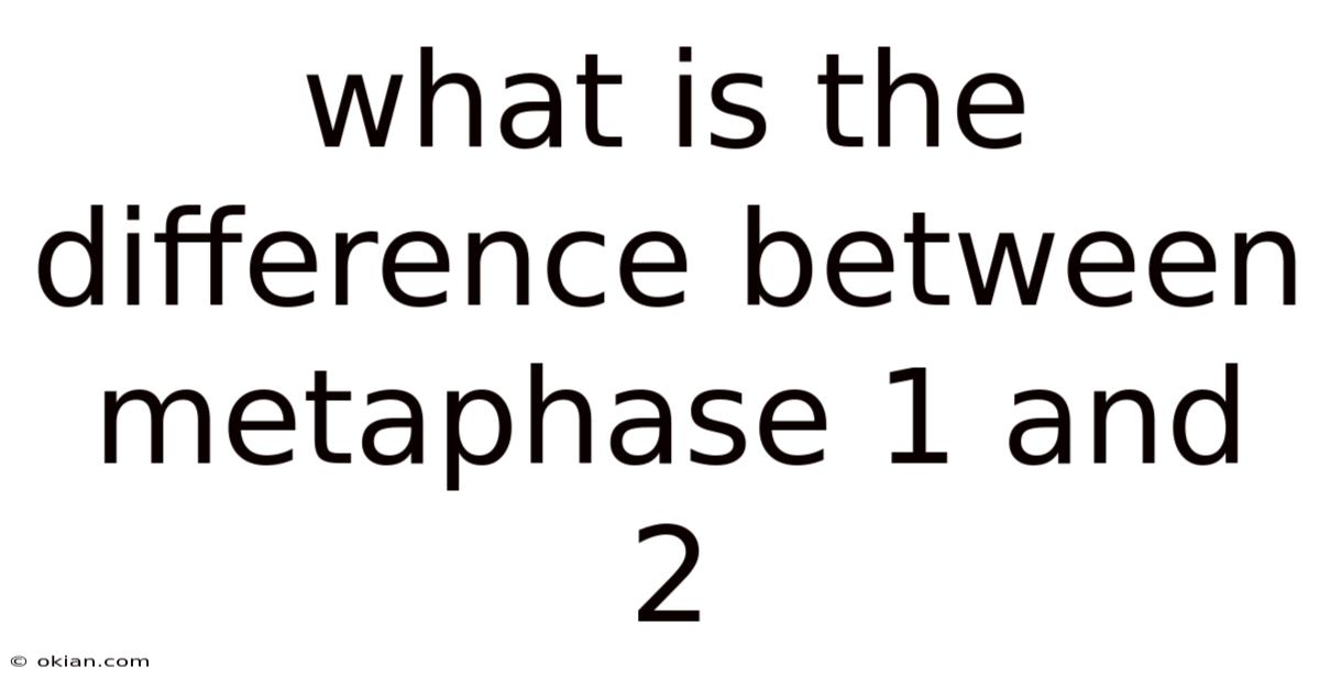 What Is The Difference Between Metaphase 1 And 2