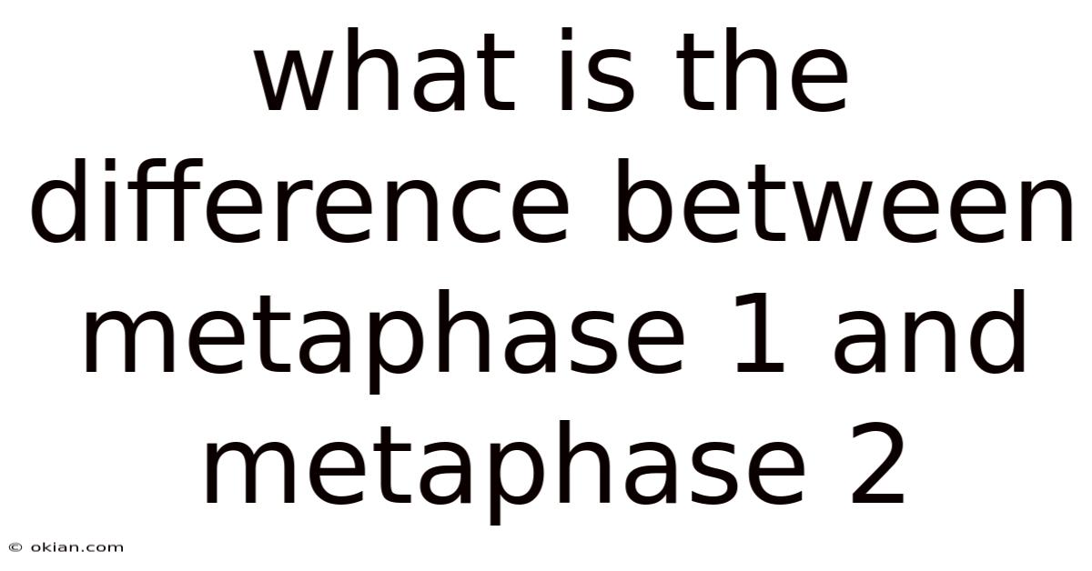 What Is The Difference Between Metaphase 1 And Metaphase 2