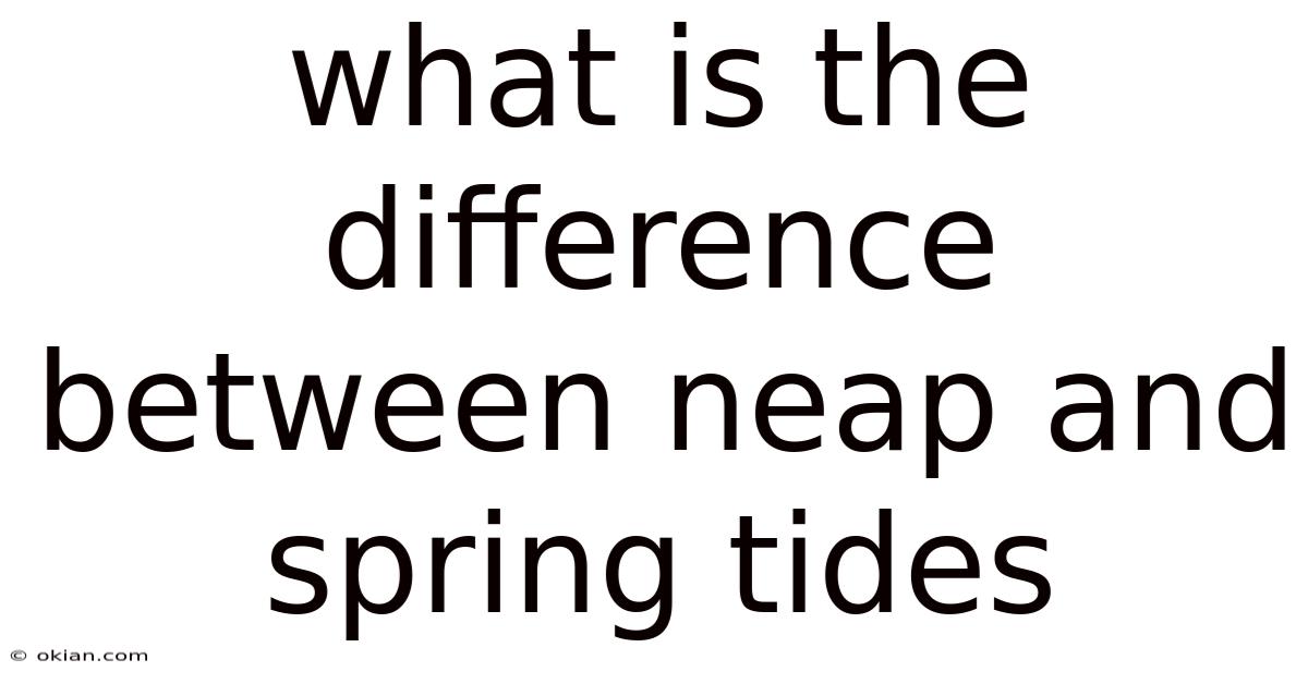 What Is The Difference Between Neap And Spring Tides