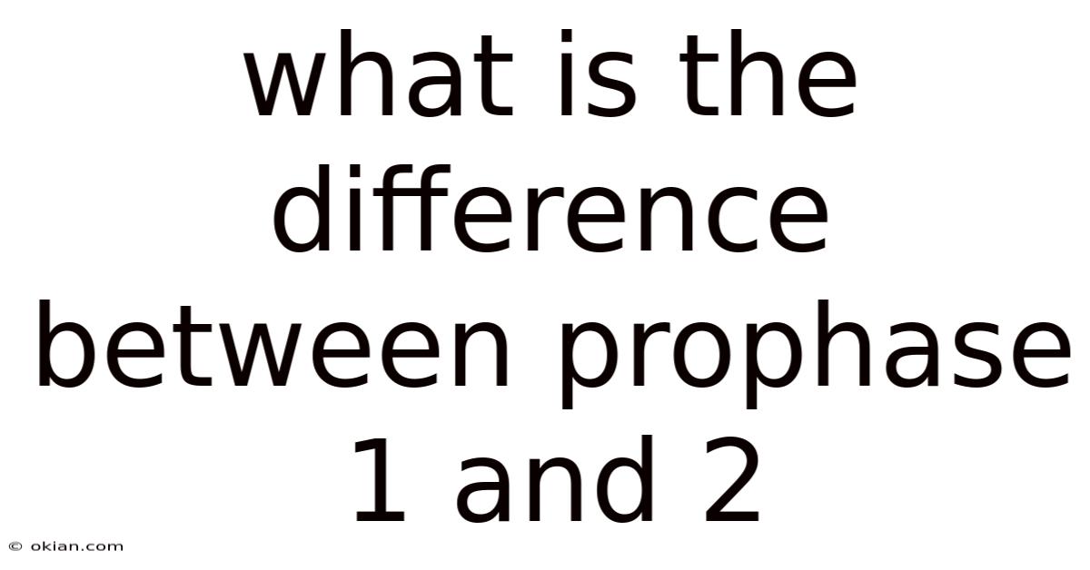 What Is The Difference Between Prophase 1 And 2