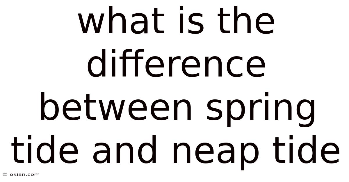 What Is The Difference Between Spring Tide And Neap Tide