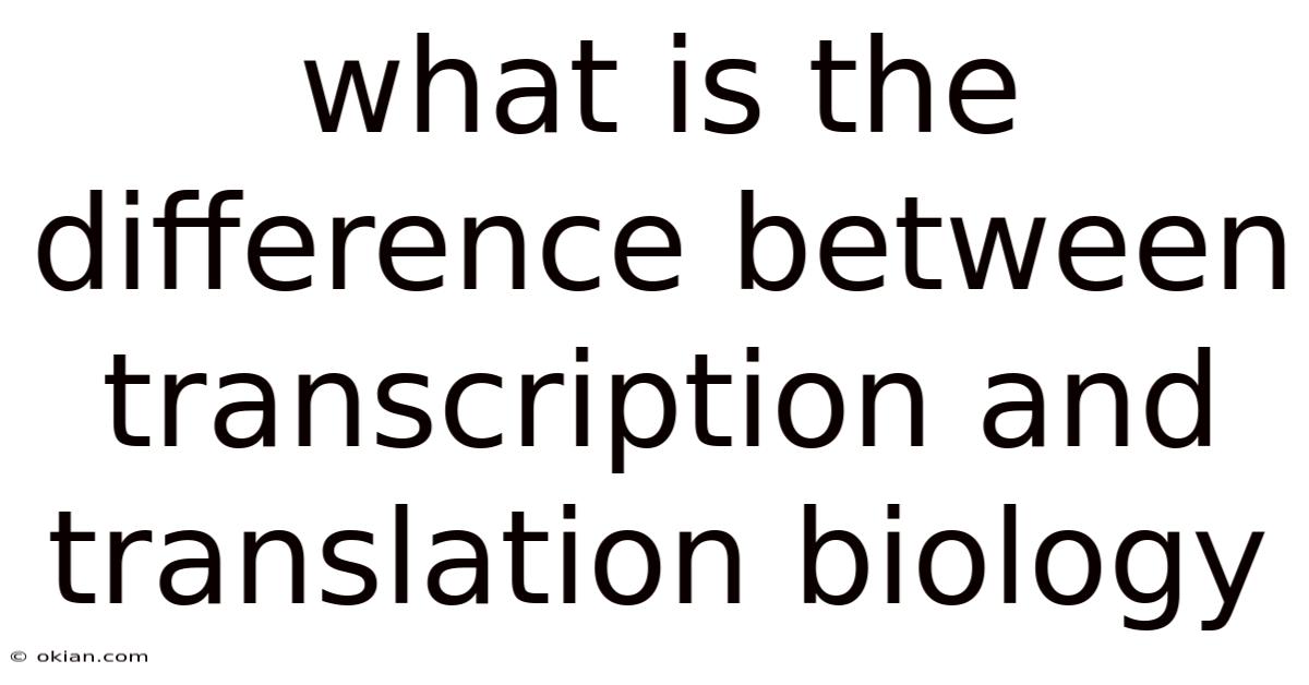 What Is The Difference Between Transcription And Translation Biology