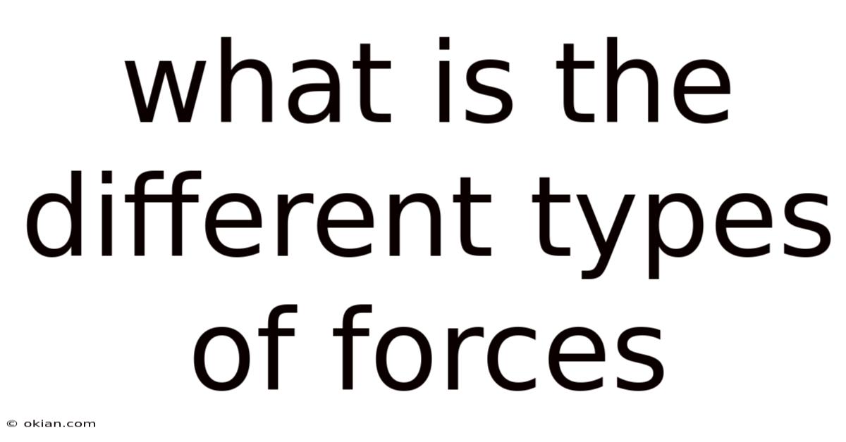 What Is The Different Types Of Forces