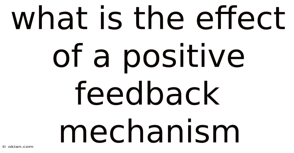 What Is The Effect Of A Positive Feedback Mechanism