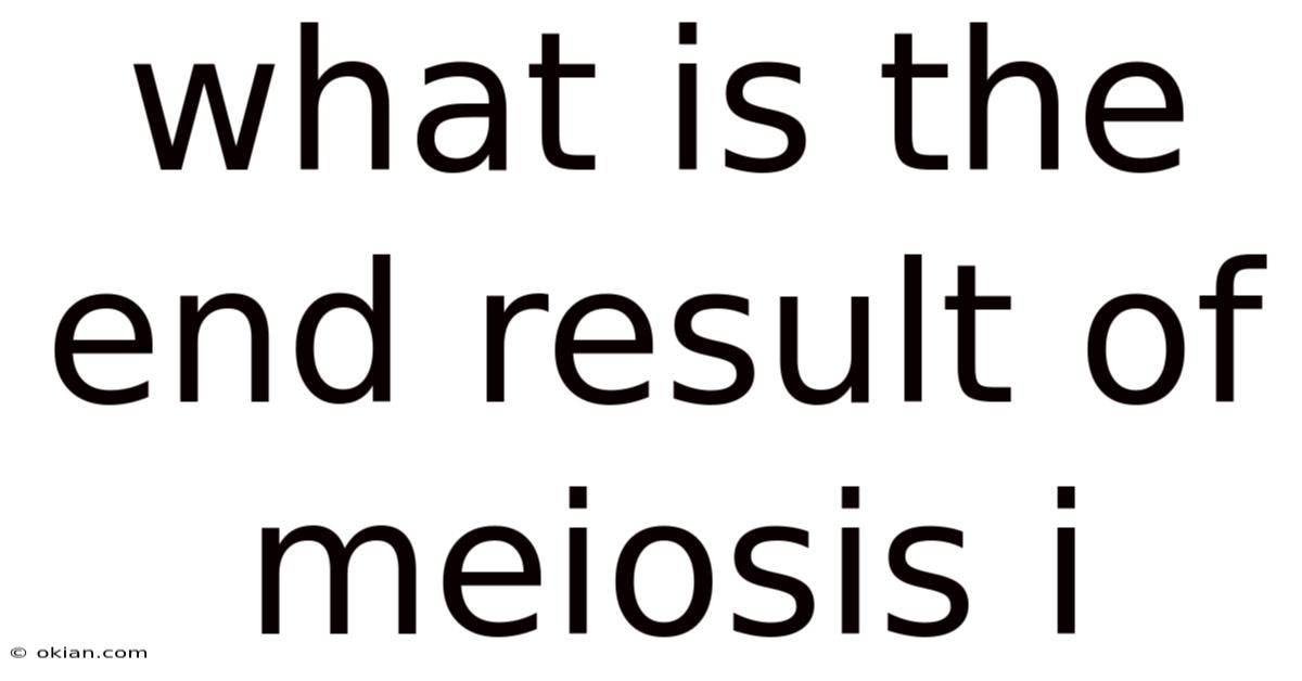 What Is The End Result Of Meiosis I
