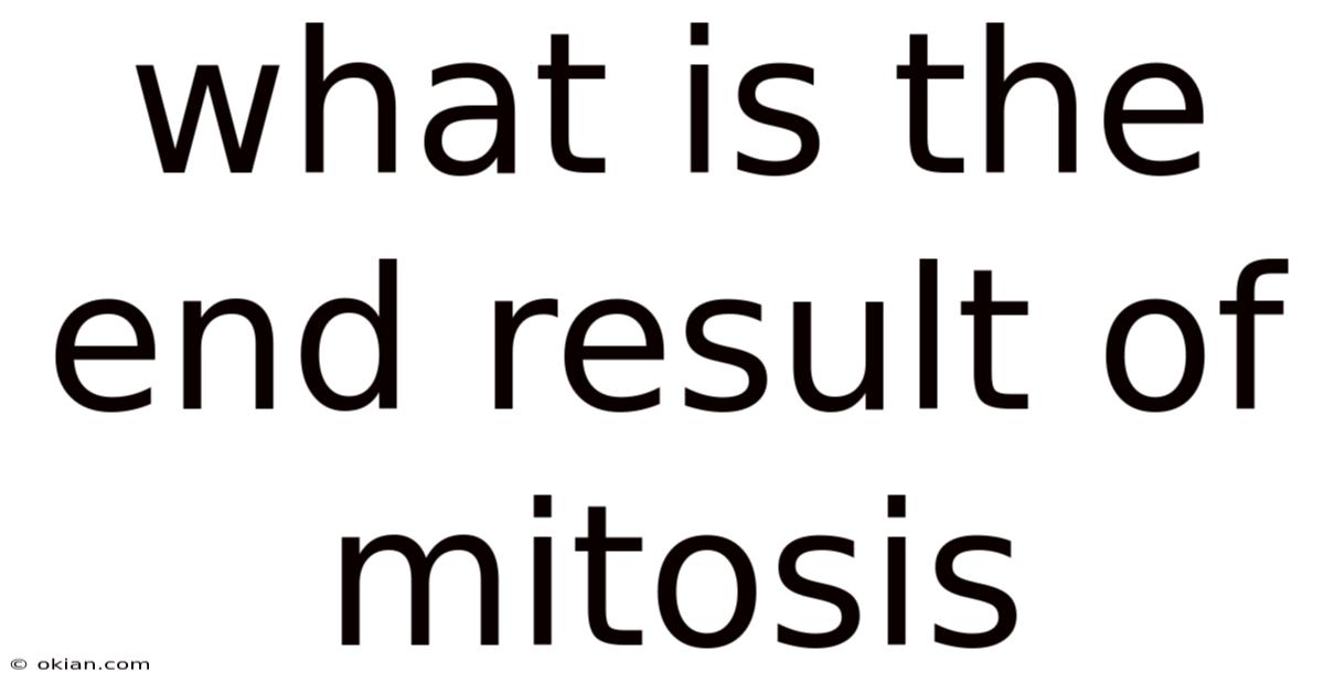 What Is The End Result Of Mitosis