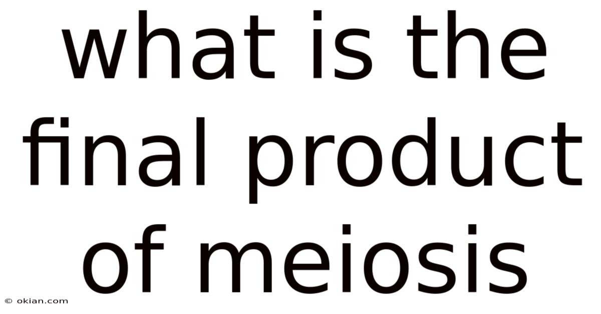 What Is The Final Product Of Meiosis