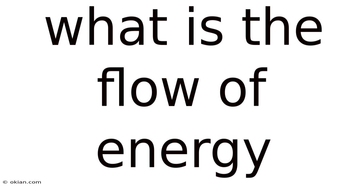 What Is The Flow Of Energy