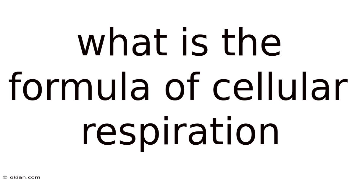 What Is The Formula Of Cellular Respiration