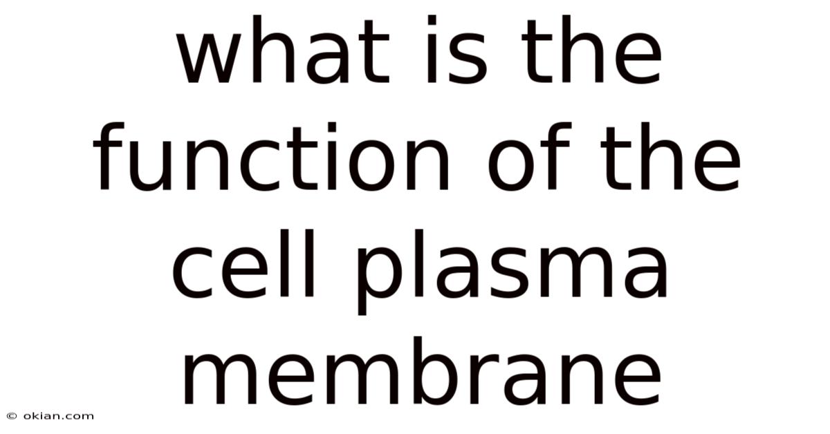 What Is The Function Of The Cell Plasma Membrane