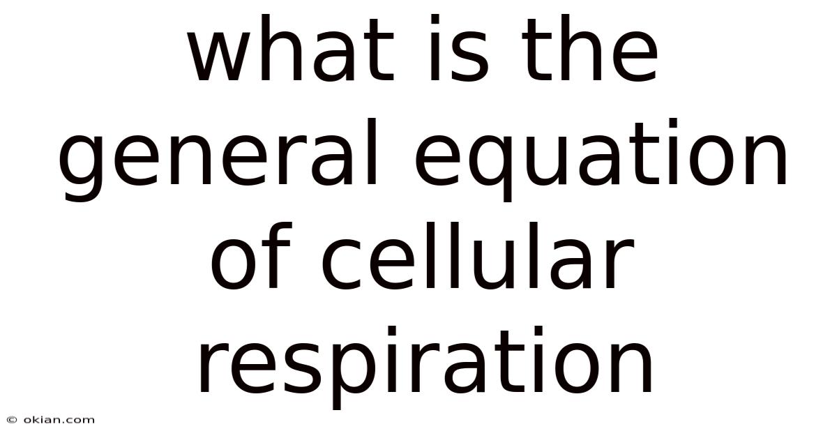 What Is The General Equation Of Cellular Respiration