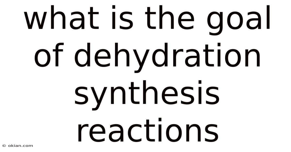 What Is The Goal Of Dehydration Synthesis Reactions