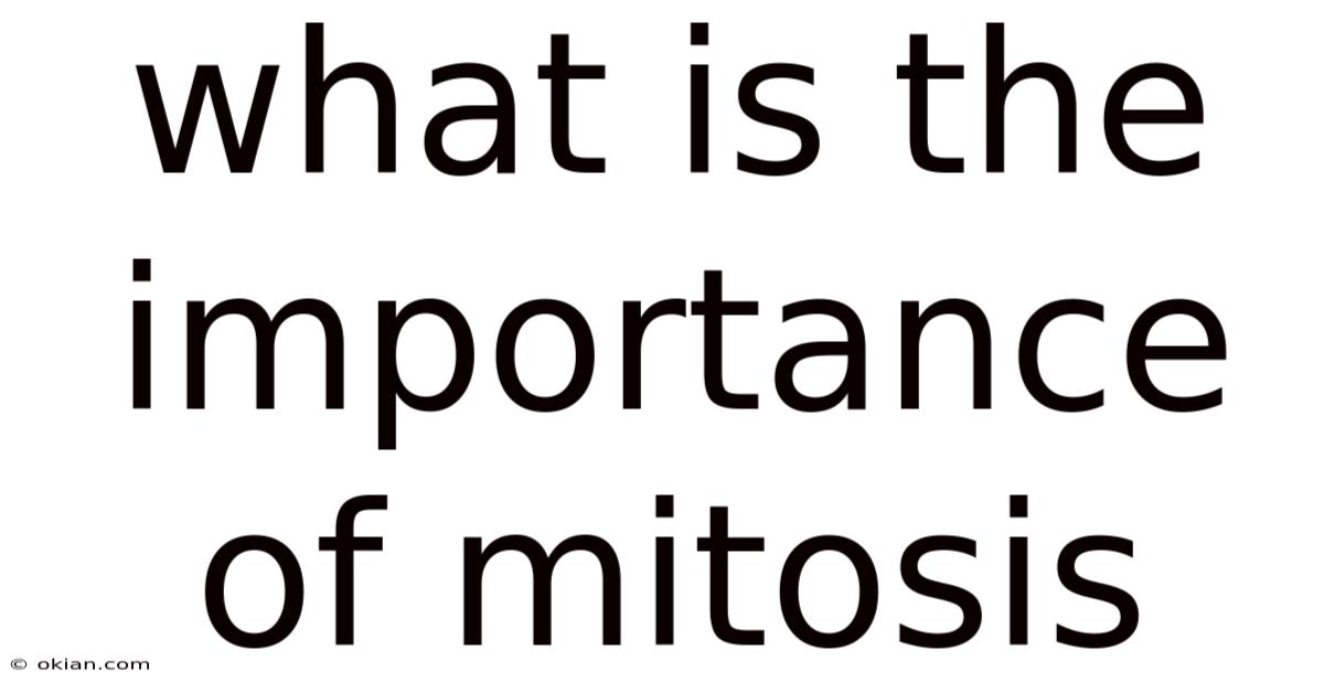 What Is The Importance Of Mitosis