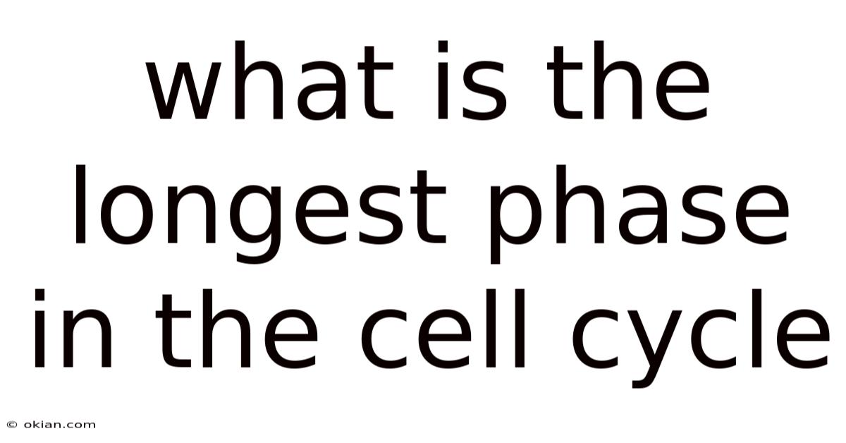 What Is The Longest Phase In The Cell Cycle