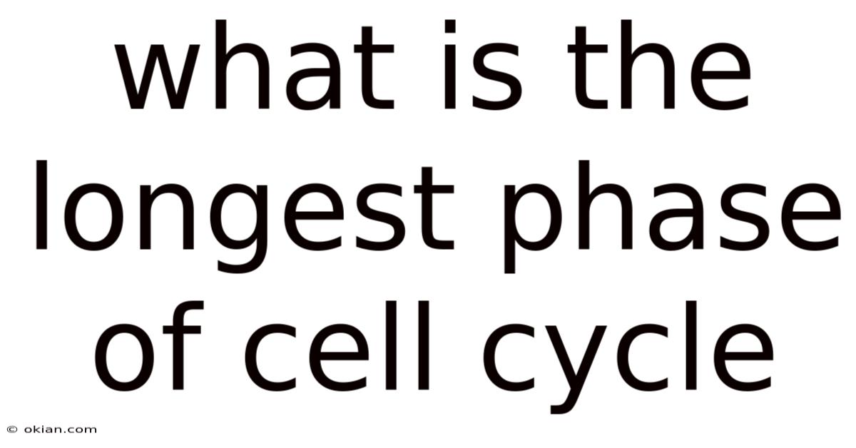 What Is The Longest Phase Of Cell Cycle