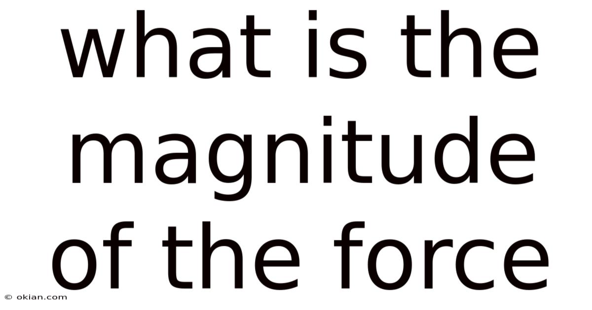 What Is The Magnitude Of The Force