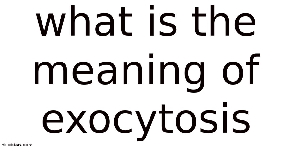 What Is The Meaning Of Exocytosis