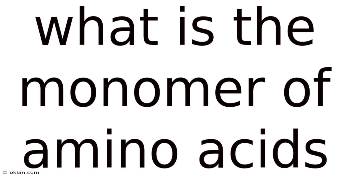 What Is The Monomer Of Amino Acids