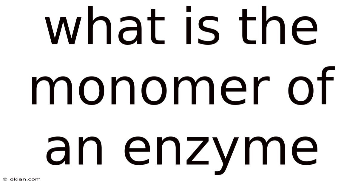 What Is The Monomer Of An Enzyme