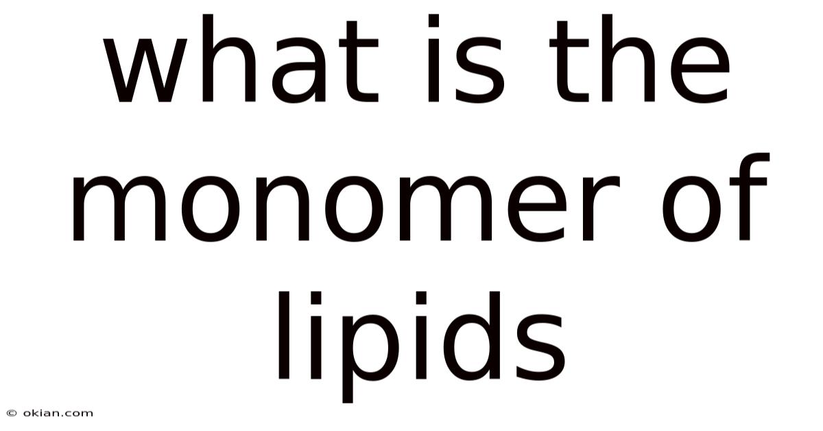 What Is The Monomer Of Lipids