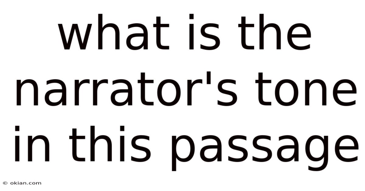 What Is The Narrator's Tone In This Passage